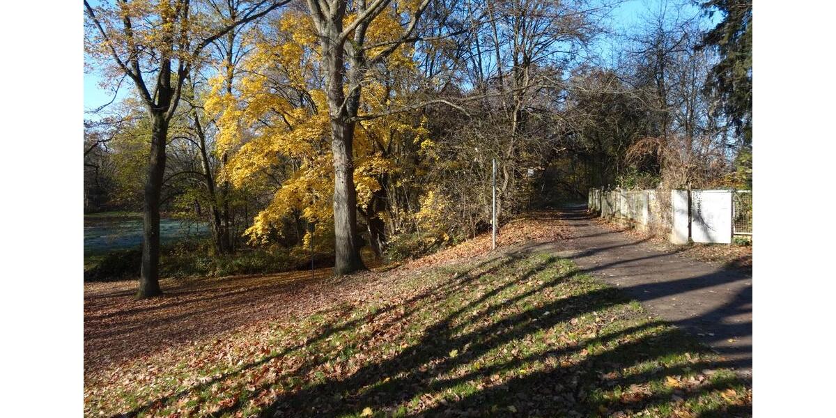 Einfamilienhaus Frankfurt am Main Sossenheim - 14 Zimmer, 320 m&sup2;, 1.850.000&euro; | Angebot:26317040