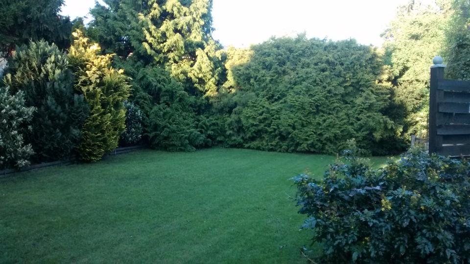 Einfamilienhaus Helmstedt - 6 Zimmer, 120 m&sup2;, 265.000&euro; | Angebot:26532570