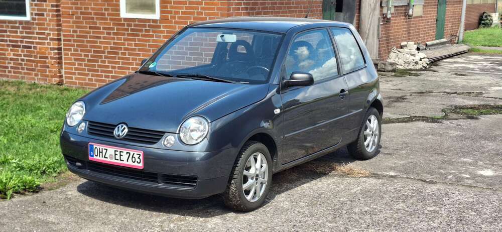Lupo