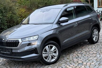 Skoda Karoq 10.000 km 29.550 € Schwarzenbach 92720