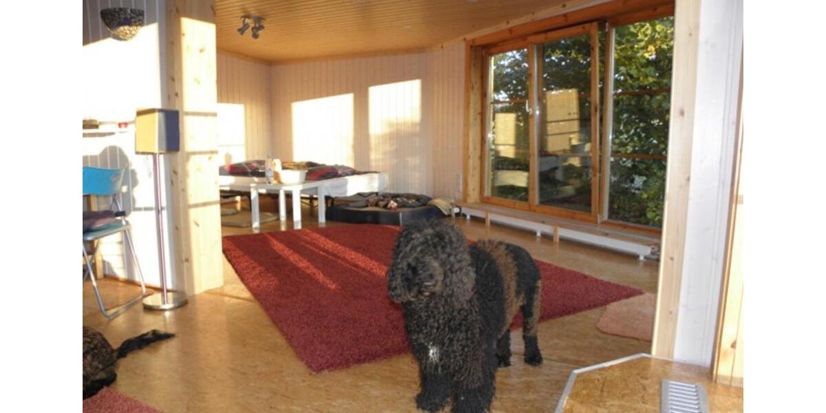 Einfamilienhaus Bad Wildungen - 1 Zimmer, 60 m&sup2;, 80.000&euro; | Angebot:25612572