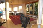 Einfamilienhaus Bad Wildungen - 1 Zimmer, 60 m&sup2;, 80.000&euro; | Angebot:25612572