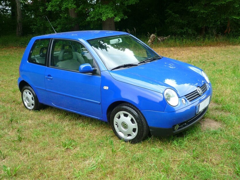 Lupo