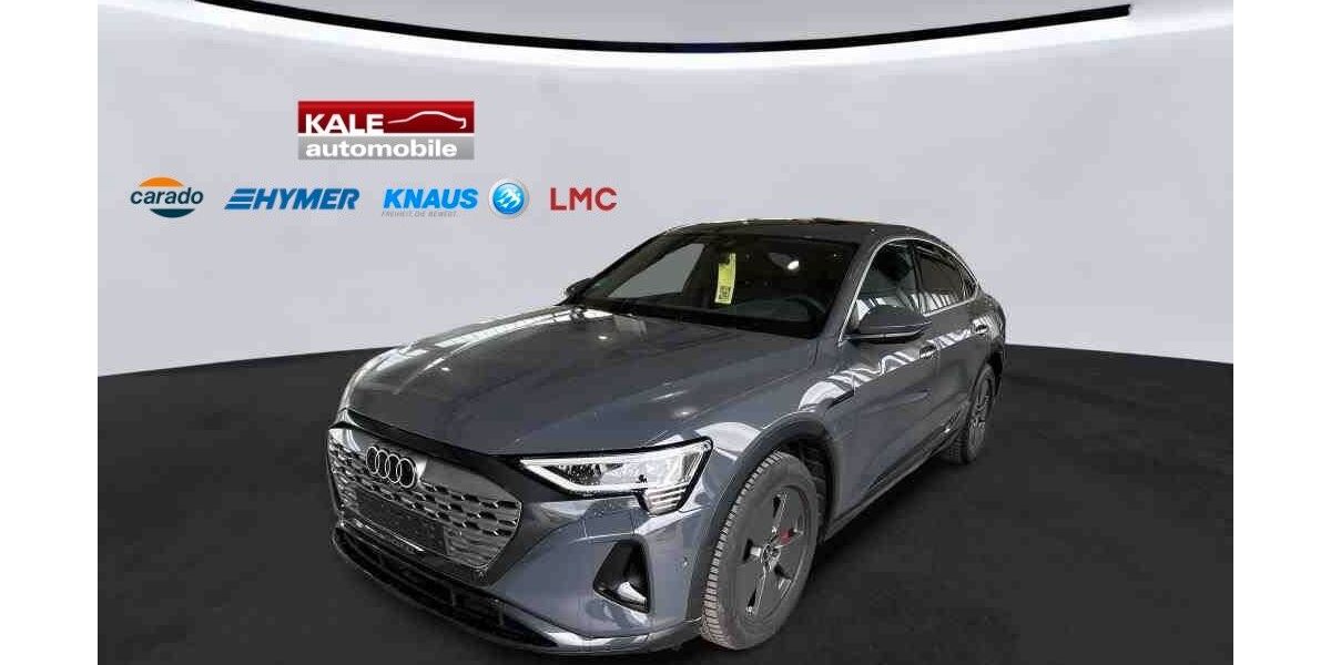 Audi Q8 e-tron 31.000 km 54.890 &euro; Helmstedt 38350