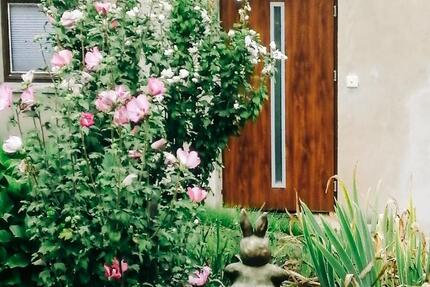 Ferienimmobilie Dresden Loschwitz - 85&euro; | Angebot:25907126