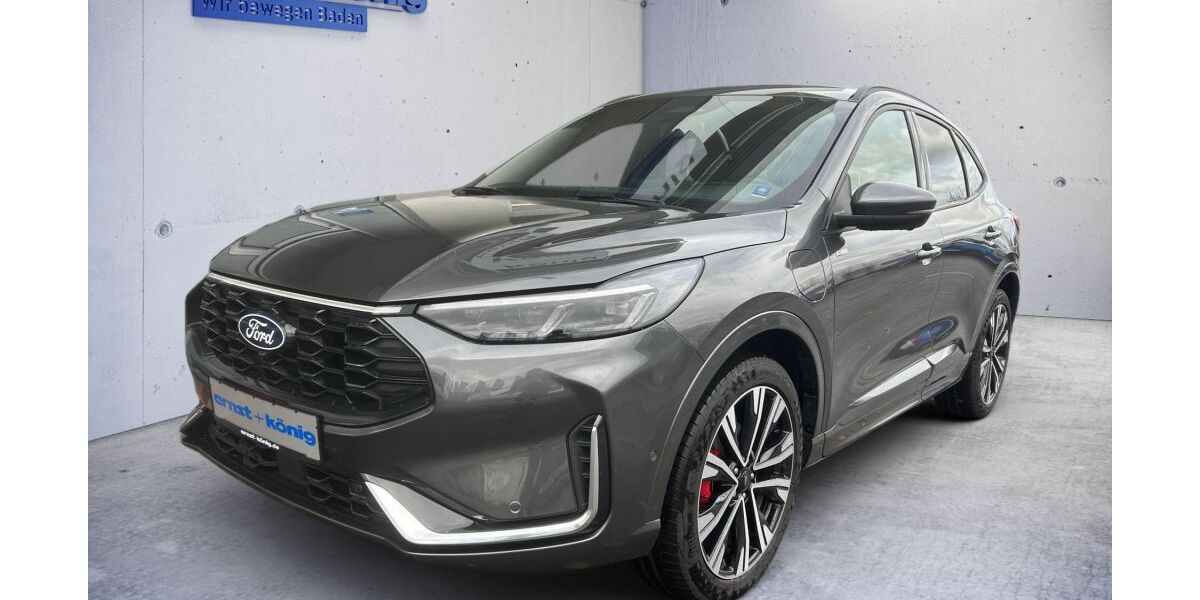 Ford Kuga 17.008 km 34.990 &euro; Singen 78224