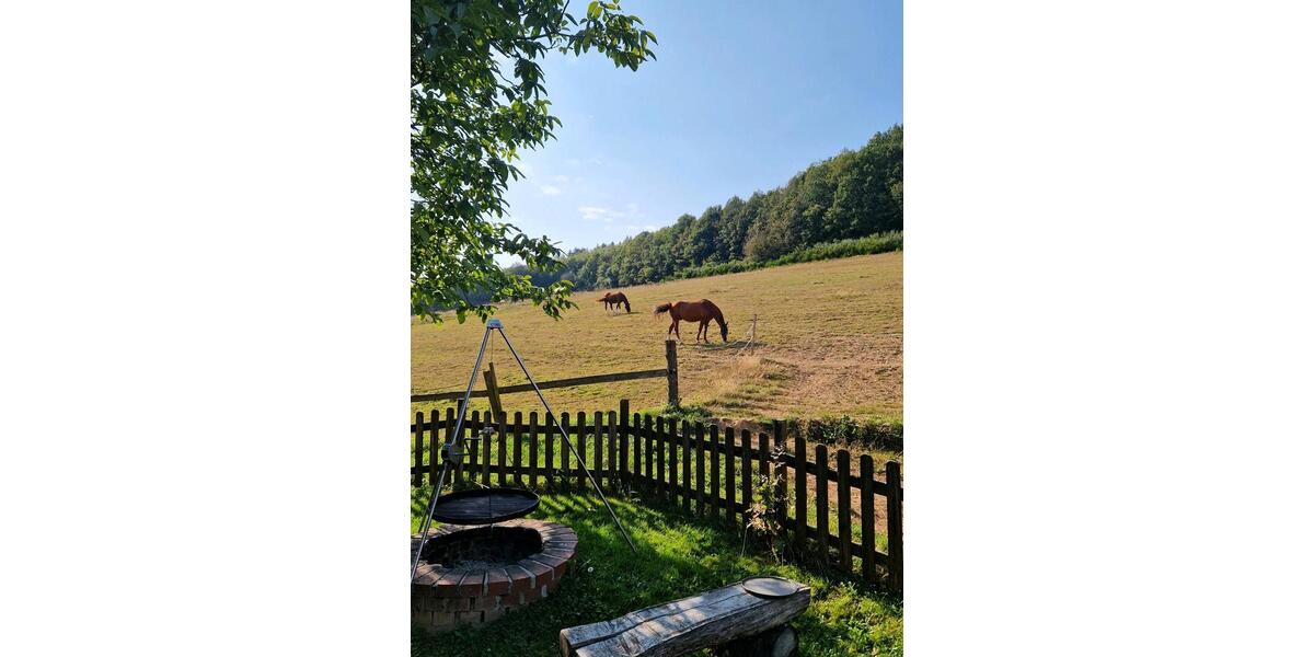 Einfamilienhaus Birkenfeld - 860.000&euro; | Angebot:26266442