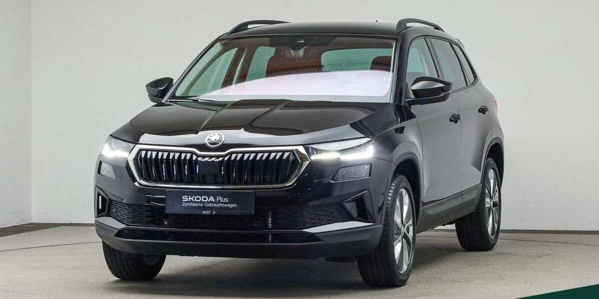 Skoda Karoq 49.300 km 27.649 &euro; Mühlheim a. Main 63165