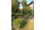 Bungalow Penzlin - 1 Zimmer, 40 m&sup2;, 55.000&euro; | Angebot:26697362