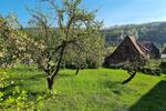 Einfamilienhaus Mansfeld - 3 Zimmer, 76 m&sup2;, 86.000&euro; | Angebot:27055305