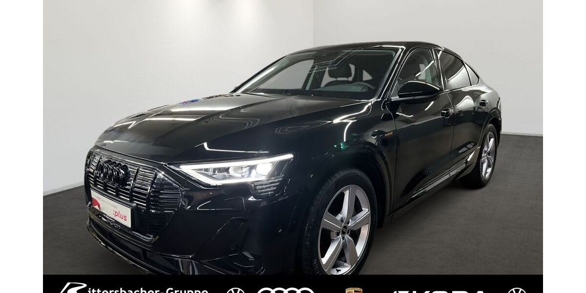 Audi e-tron 29.628 km 29.890 &euro; Kaiserslautern 67663