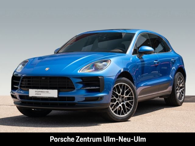 Macan