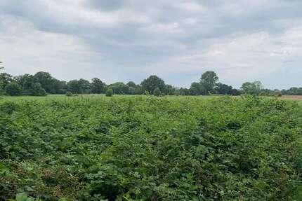 Grundstück Kaltenkirchen - 70.000&euro; | Angebot:24715234