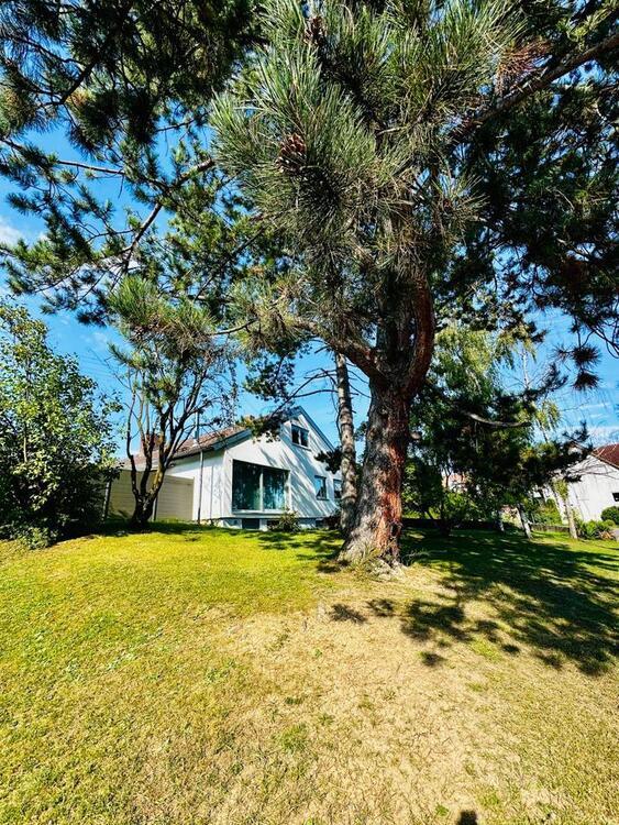 *jetzt provisionsfrei* Einfamilienhaus Notzingen gr. Grundstückk zimmer