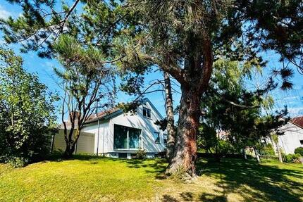 *jetzt provisionsfrei* Einfamilienhaus Notzingen mit ELW zimmer