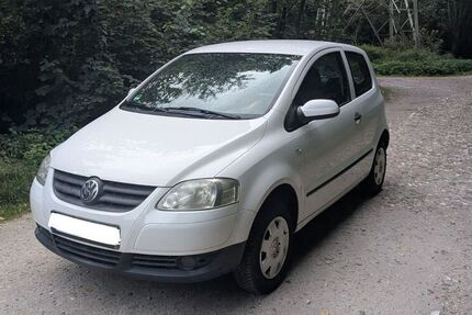 VW Fox