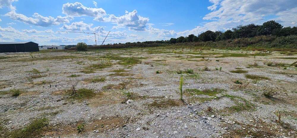 Grundstück Jesewitz Bötzen - 1.994.620&euro; | Angebot:25610453