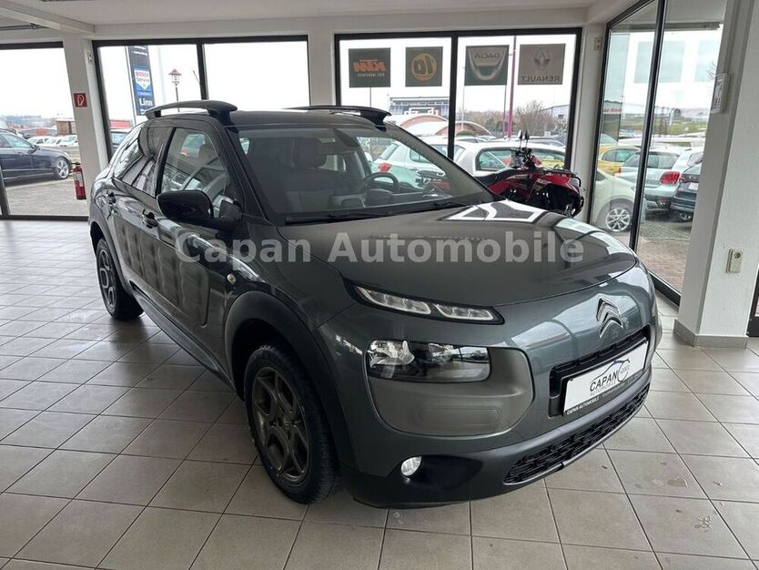 C4 Cactus