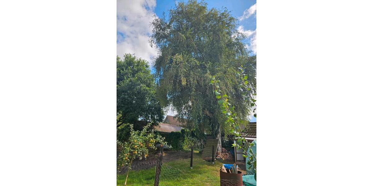 Einfamilienhaus Rhauderfehn - 7 Zimmer, 245 m&sup2;, 298.000&euro; | Angebot:26235640