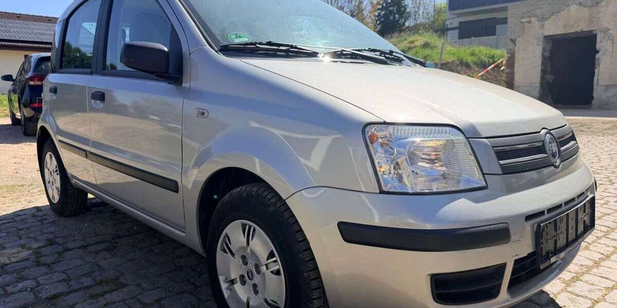 Fiat Panda 24.696 km 3.990 &euro; Haßloch 67454
