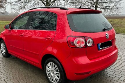 VW Golf Plus 240.000 km 5.700 &euro; Lustadt 67363