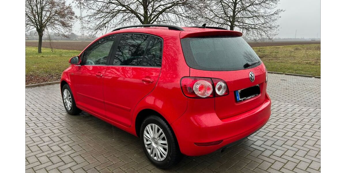 VW Golf Plus 240.000 km 7.600 &euro; Lustadt 67363