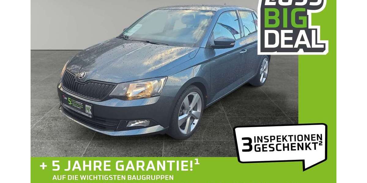 Skoda Fabia 115.950 km 8.480 € Kiel 24119