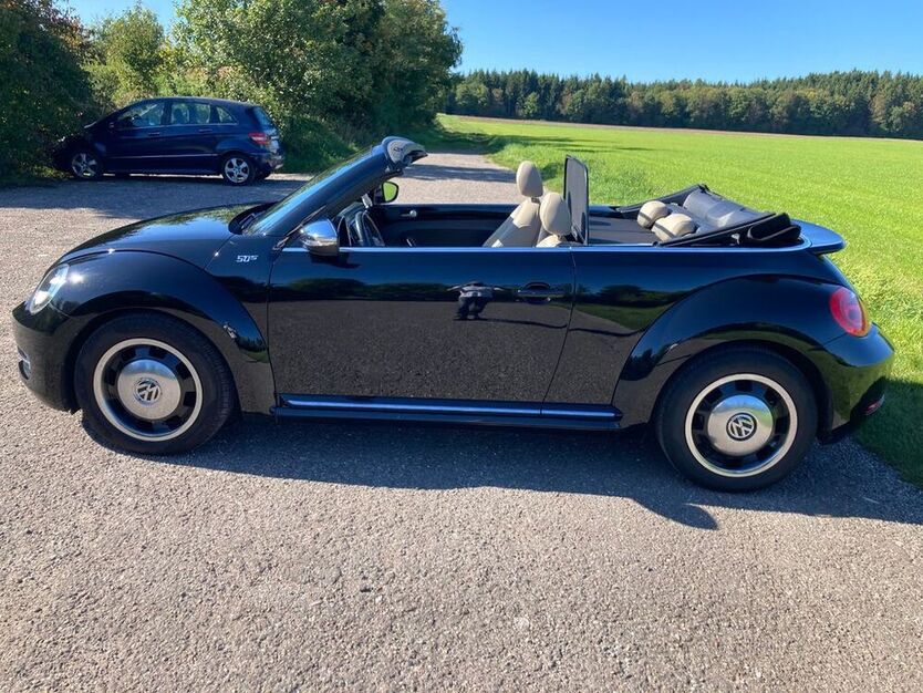 Beetle