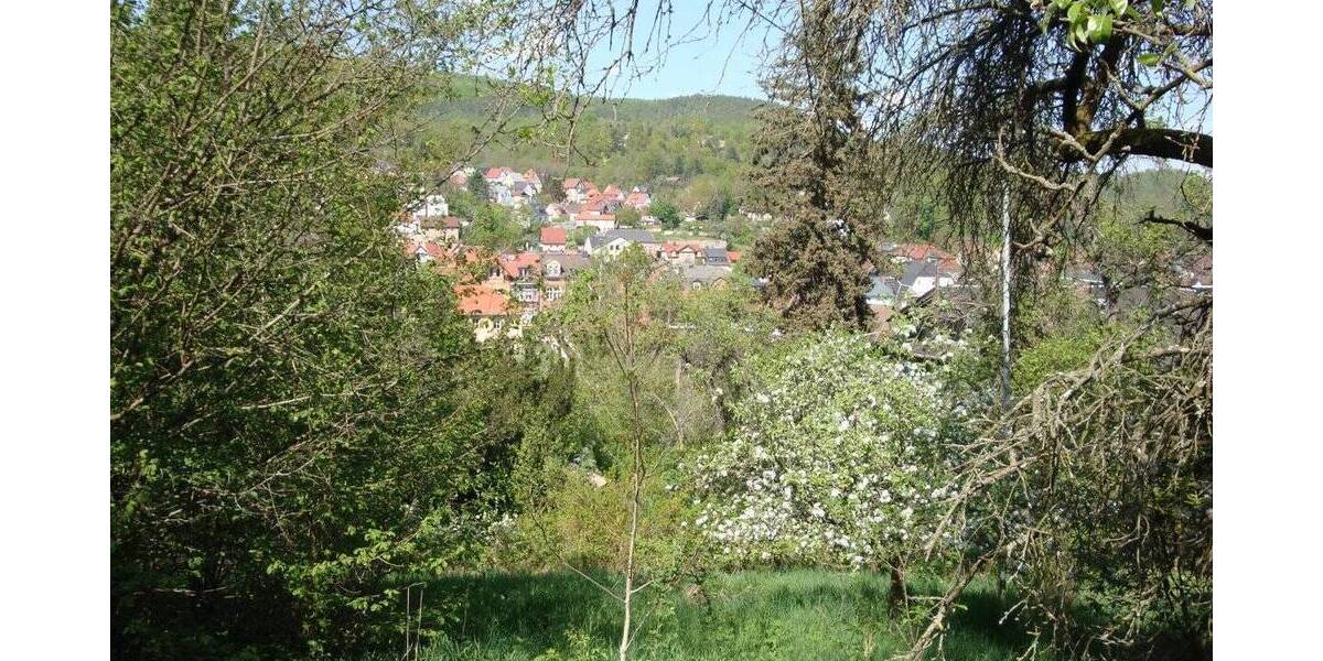 Grundstück Bad Blankenburg - 45.000&euro; | Angebot:25732454