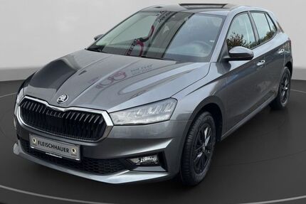 Skoda Fabia 4.500 km 20.490 € Euskirchen 53879