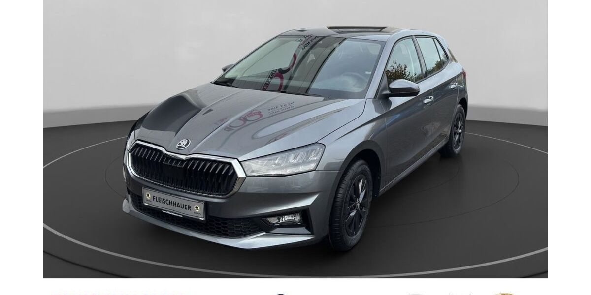 Skoda Fabia 4.500 km 20.490 € Euskirchen 53879