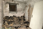 Sernow - Handwerkerobjekt auf schönem Grundstück - Bungalow Niederer Fläming Brandenburg - Teltow-Fläming | Angebot:26550320