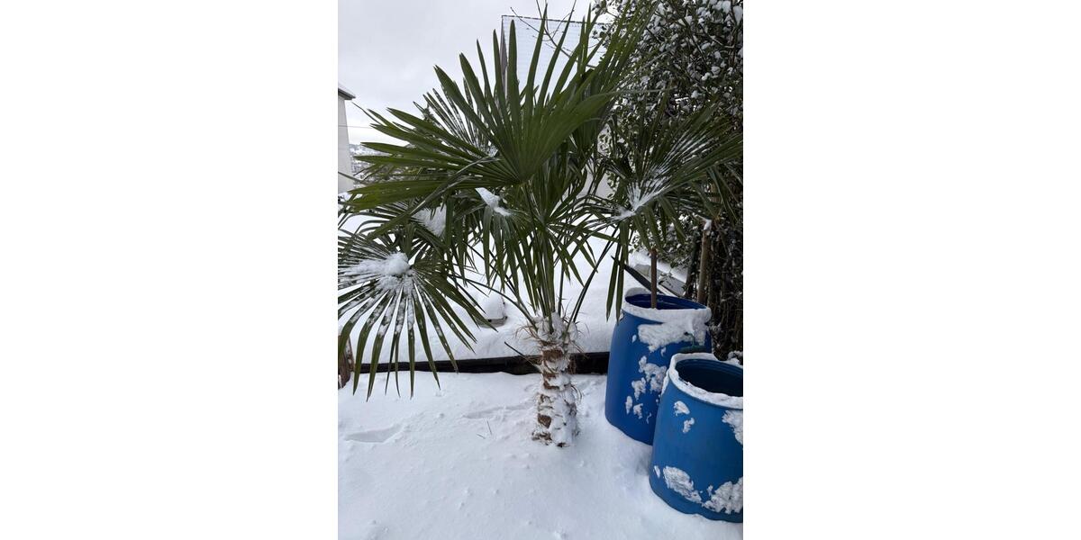 Zwei sanierte Doppelhaushälften in Wuppertal-Langerfeld 3 zimmer