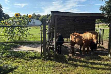 Haus zum Kaufen in Plattenburg 295.000 € 200 m² 6 zimmer