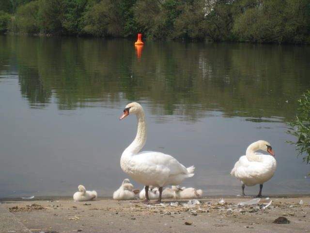 zentrumsnah in Mainnähe wohnen ! 3 zimmer