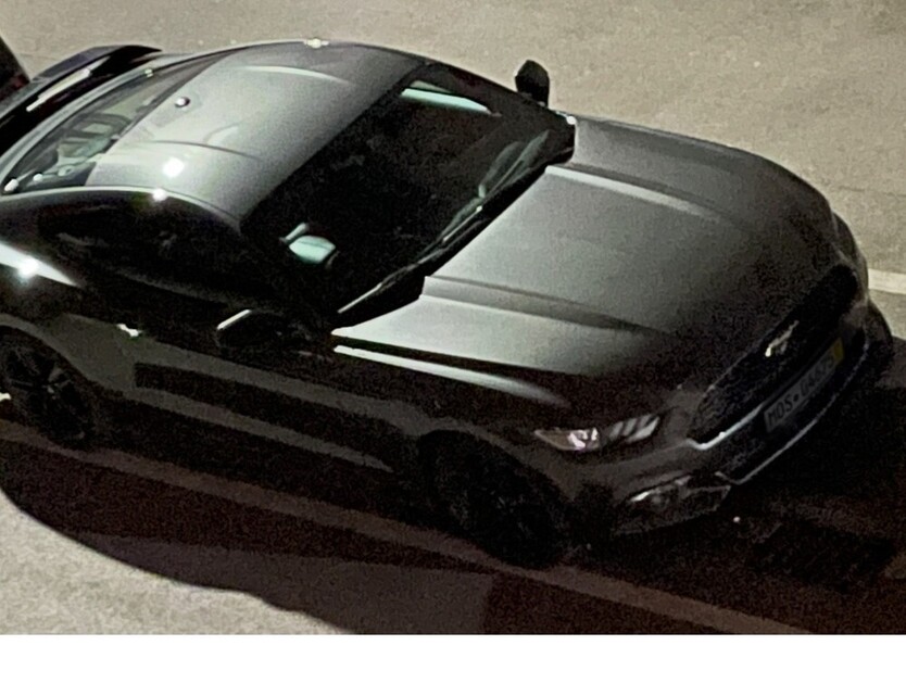 Mustang