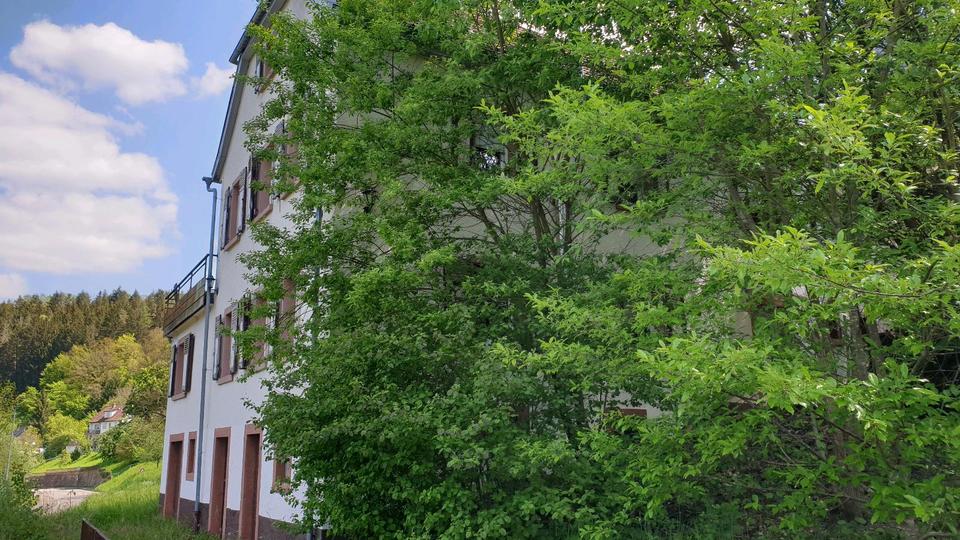 Einfamilienhaus Heidelberg Boxberg - 8 Zimmer, 183 m&sup2;, 215.000&euro; | Angebot:25883802