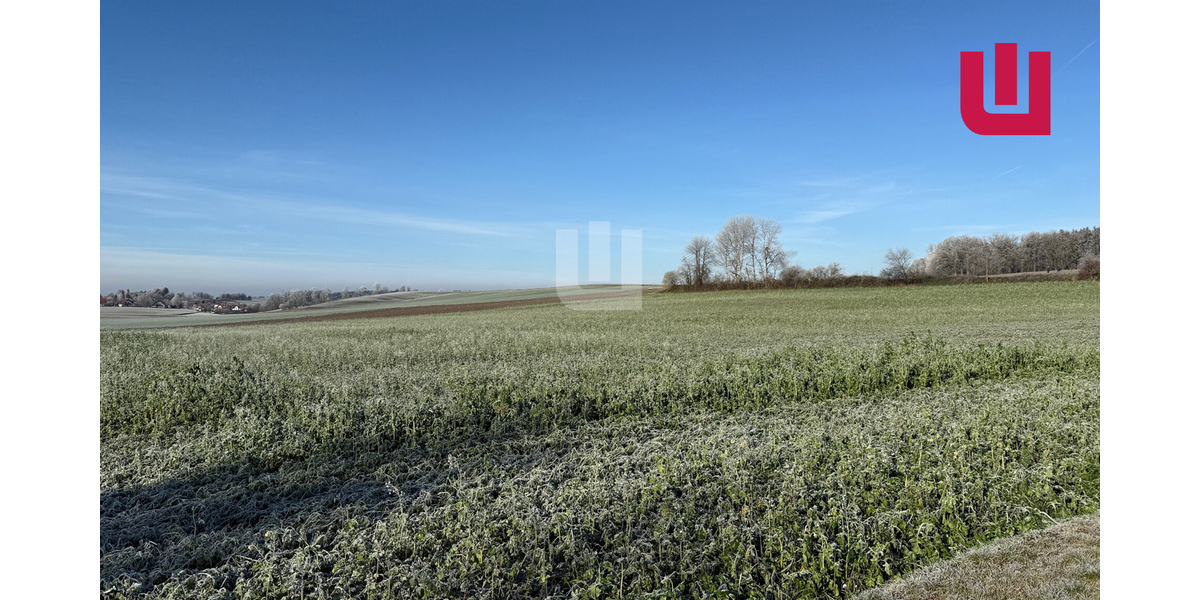 WINDISCH IMMOBILIEN - Landwirtschaftliche Fläche nähe Mittelstetten - Grundstück Mittelstetten / Tegernbach Tegernbach | Angebot:24195958
