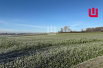 WINDISCH IMMOBILIEN - Landwirtschaftliche Fläche nähe Mittelstetten - Grundstück Mittelstetten / Tegernbach Tegernbach | Angebot:24195958
