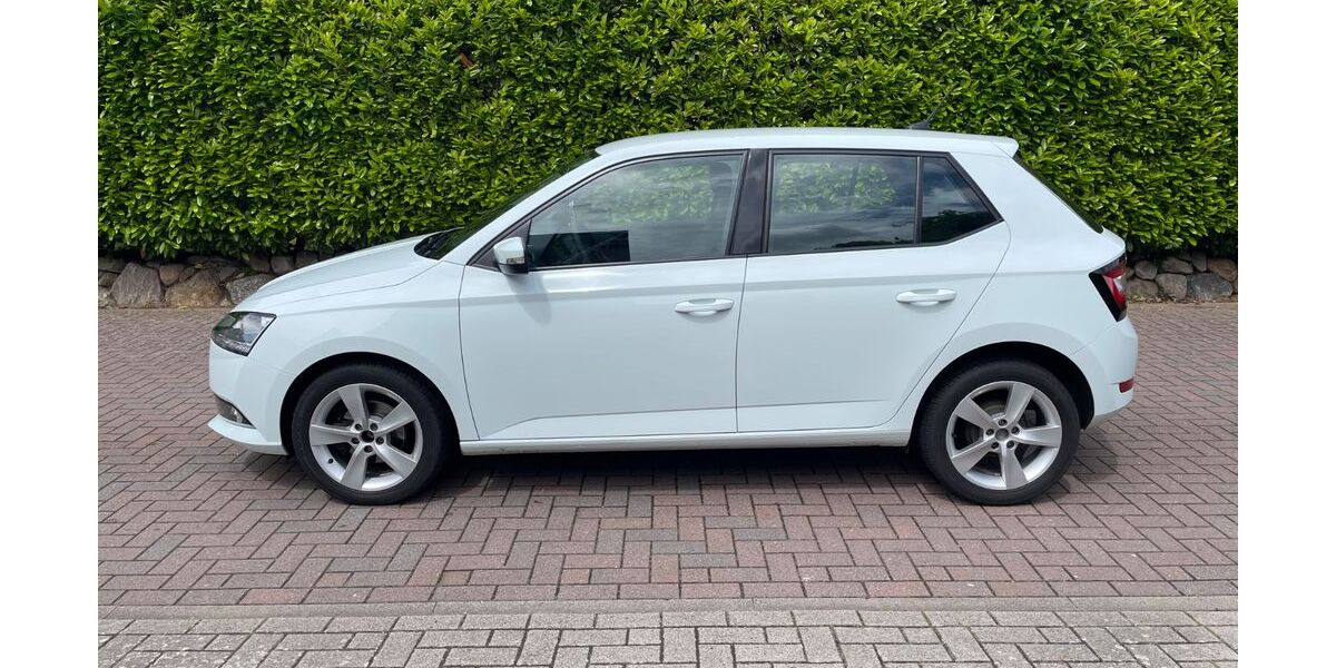 Skoda Fabia 118.000 km 8.700 &euro; Verden 27283