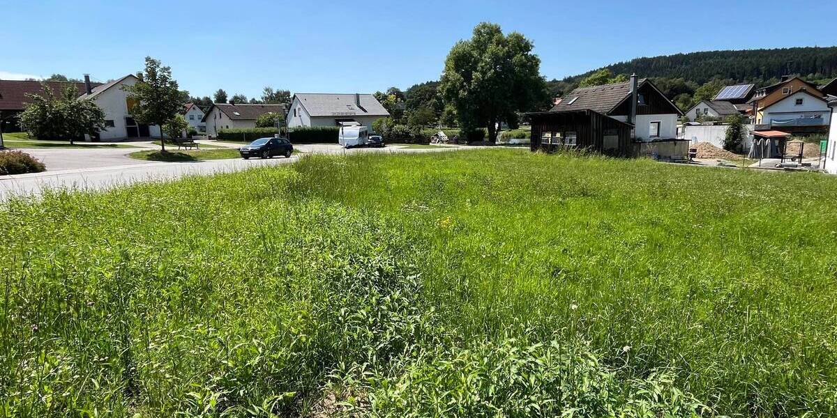 Grundstück Waidhaus - 38.000&euro; | Angebot:25697458