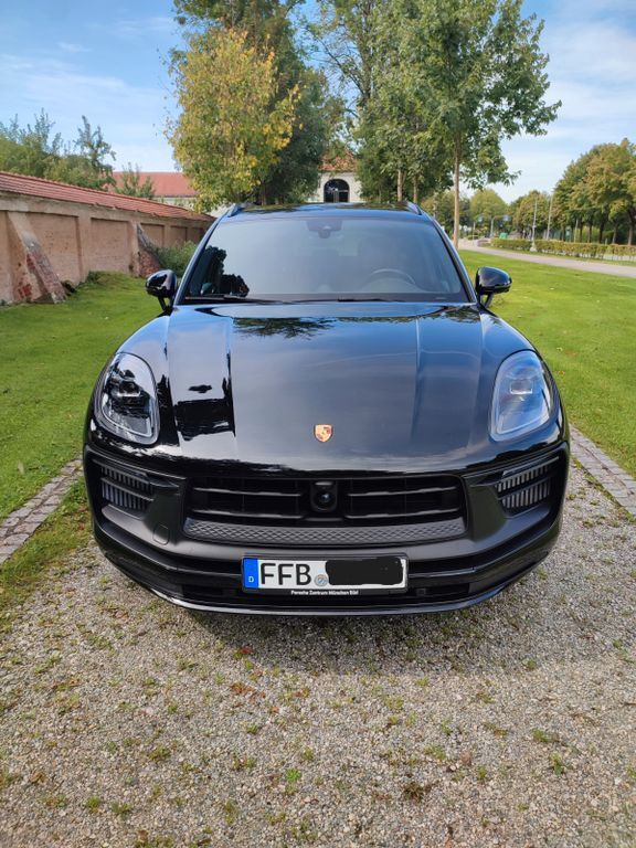 Macan