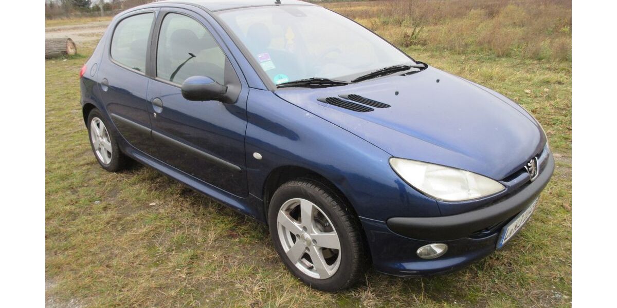 Peugeot 206 121.000 km 2.222 &euro; leipzig 04159