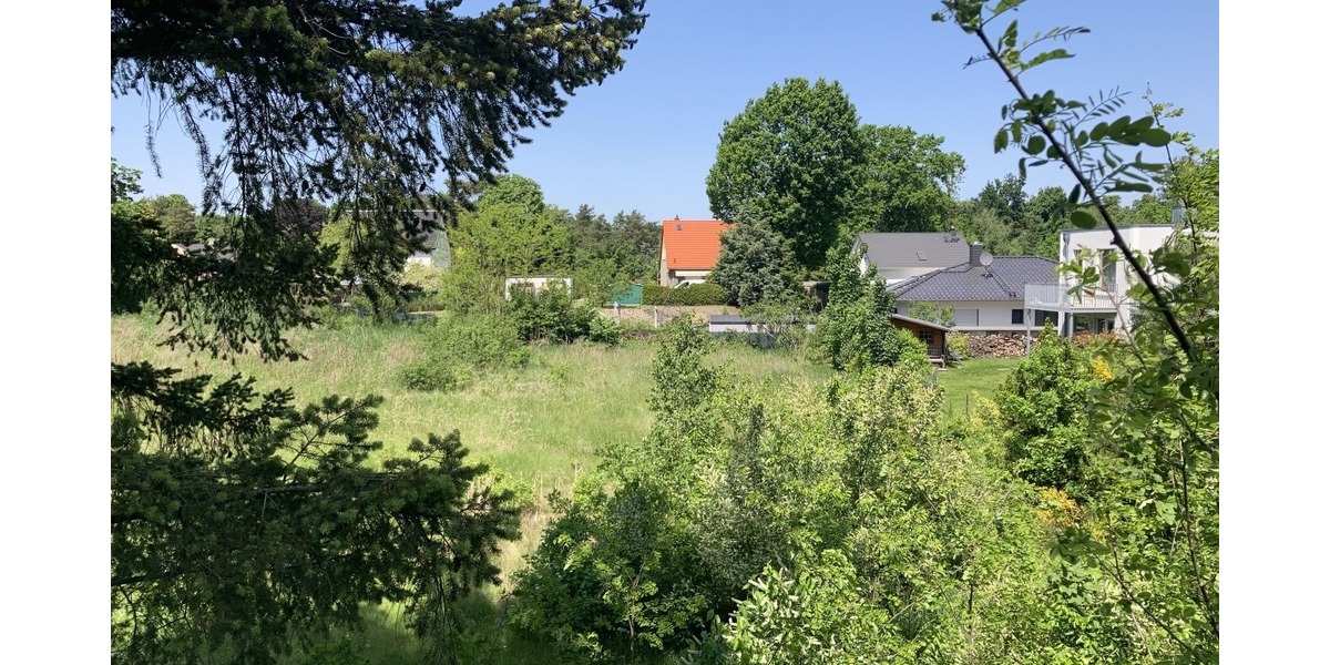 Naturbelassenes Baugrundstück in Hangelsberg - Morgens Vogelstimmen statt Straßenlärm - Grundstück Grünheide (Mark) | Angebot:26786395