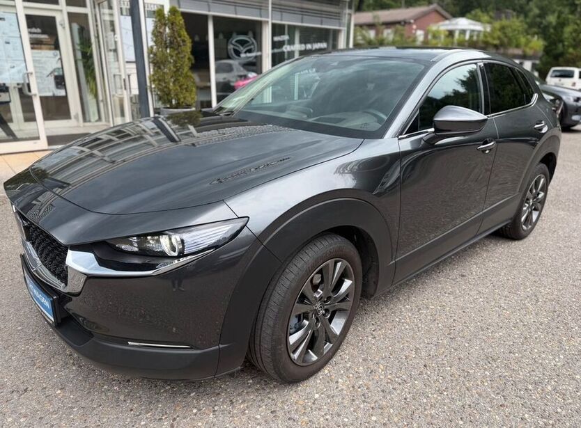 CX-30