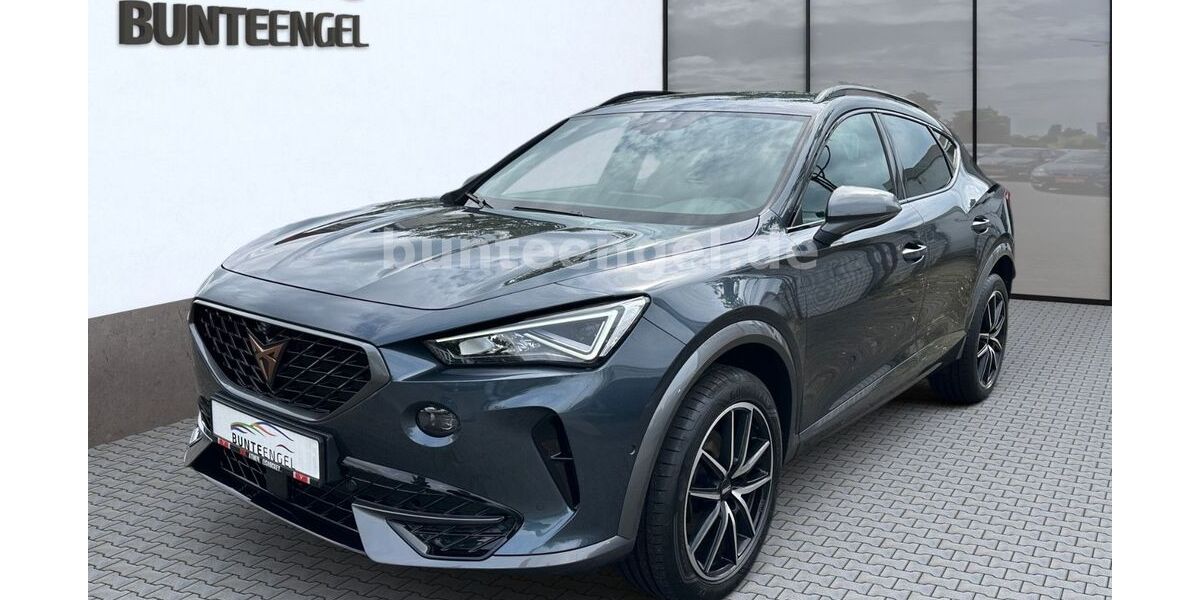 Cupra Formentor 37.219 km 22.990 &euro; Flörsheim am Main 65439