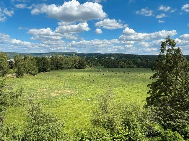 Etagenwohnung Weiden in der Oberpfalz - 2.5 Zimmer, 67 m&sup2;, 205.000&euro; | Angebot:26823788