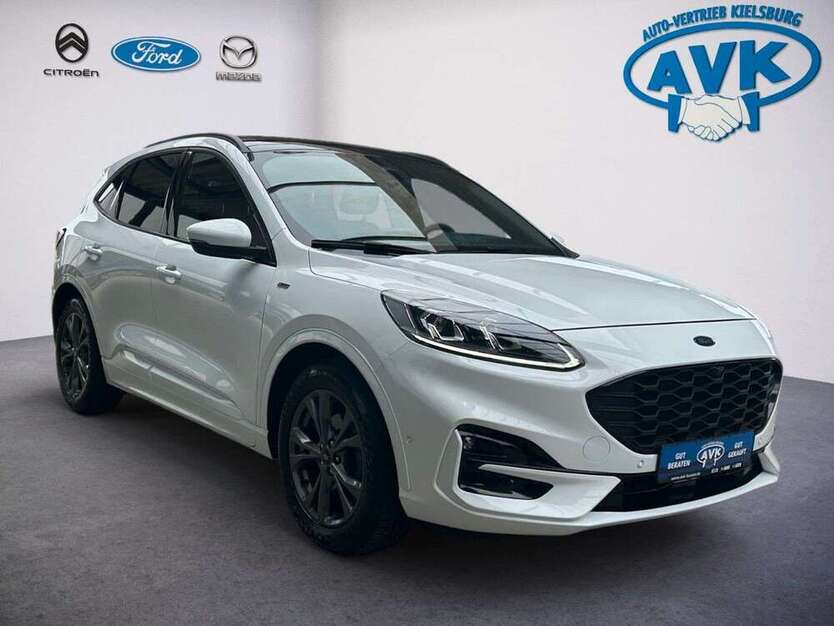 Kuga