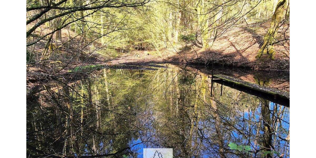 Grundstück Mainhardt Ammertsweiler - 34.900&euro; | Angebot:26798338