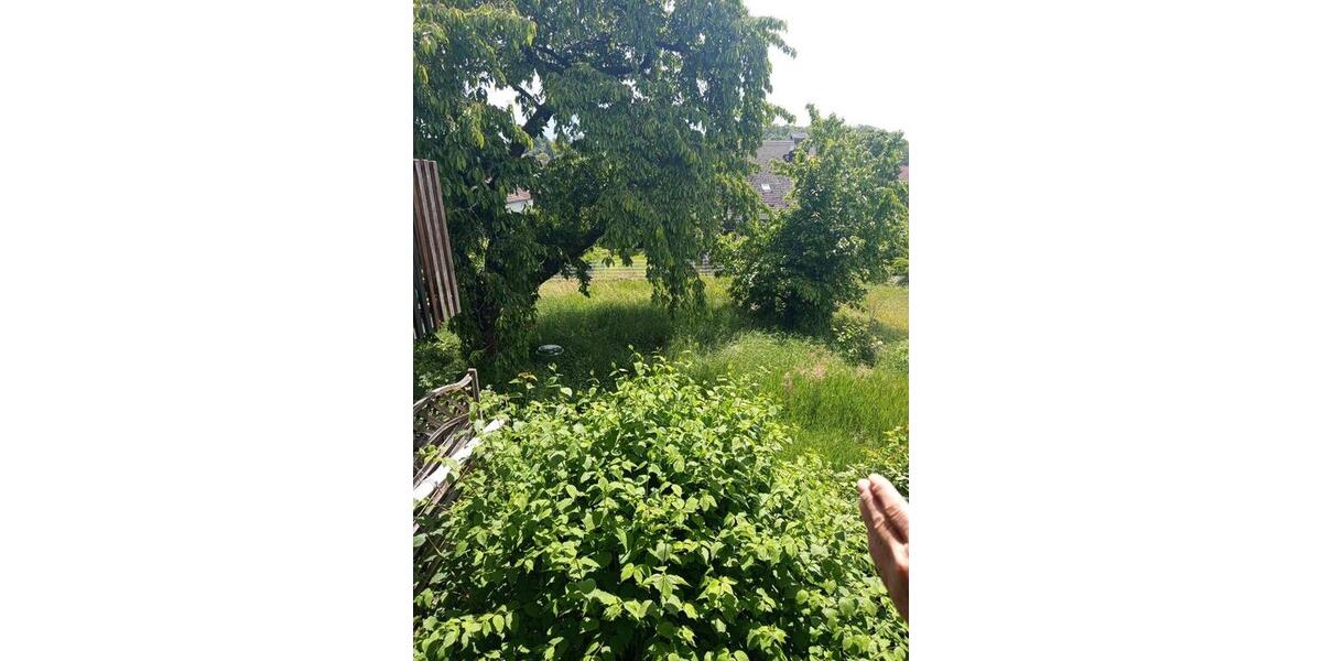 Doppelhaushälfte Bad Bergzabern - 3 Zimmer, 150 m&sup2;, 310.000&euro; | Angebot:26671165